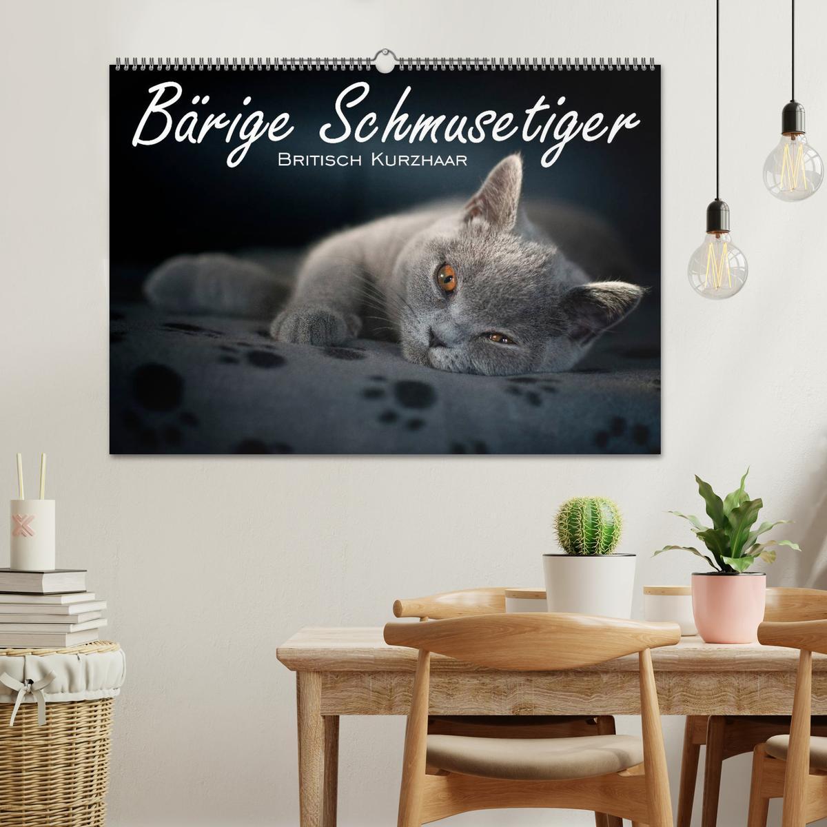 Bild: 9783435738830 | Bärige Schmusetiger - Britisch Kurzhaar / CH-Version (Wandkalender...