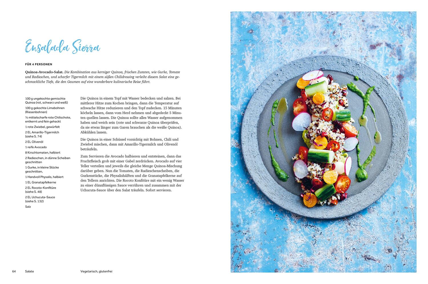 Bild: 9783898837903 | Andina | Das Beste aus Perus Küche | Martin Morales | Buch | 272 S.