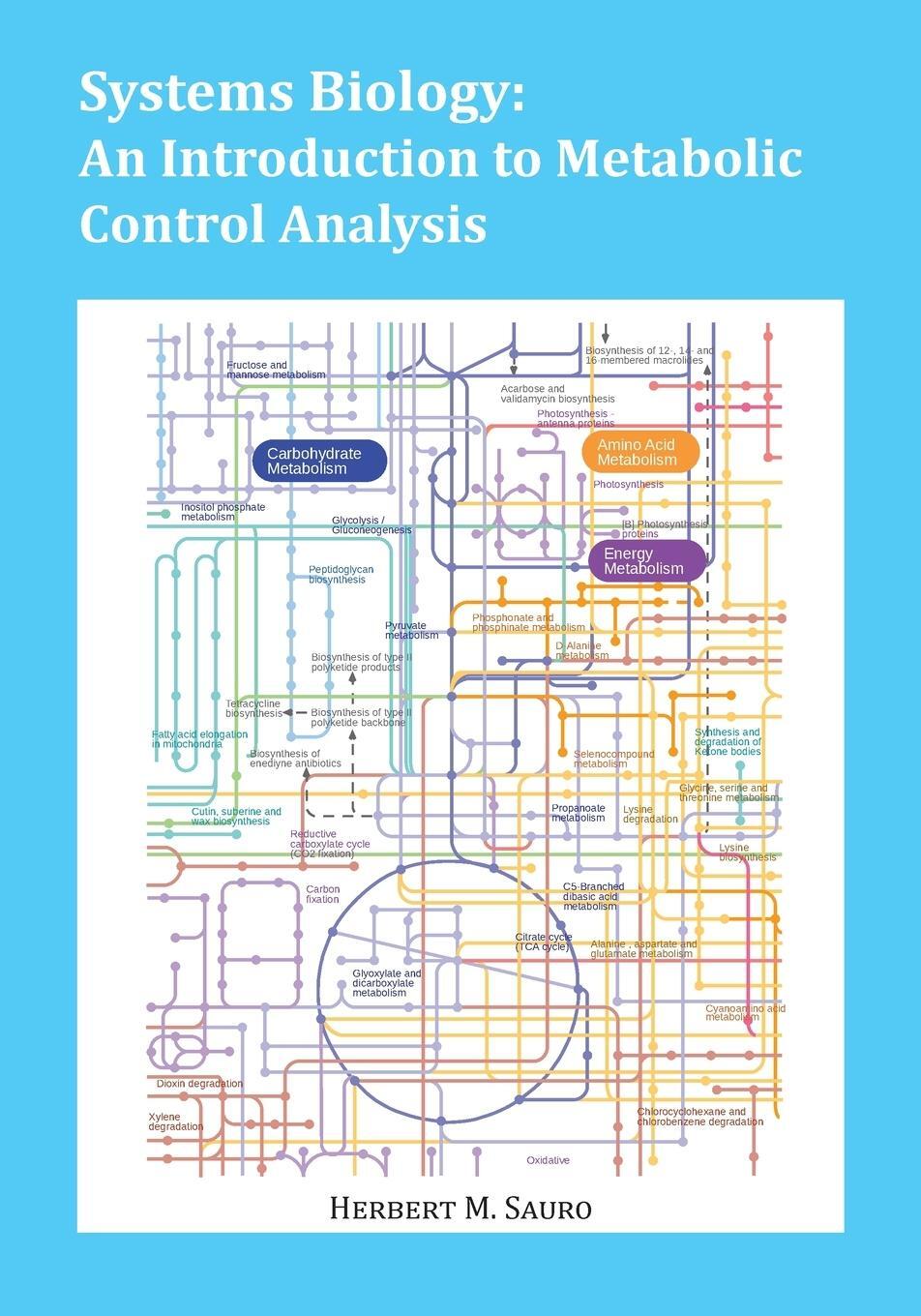 Cover: 9780982477366 | Systems Biology | An Introduction to Metabolic Control Analysis | Buch