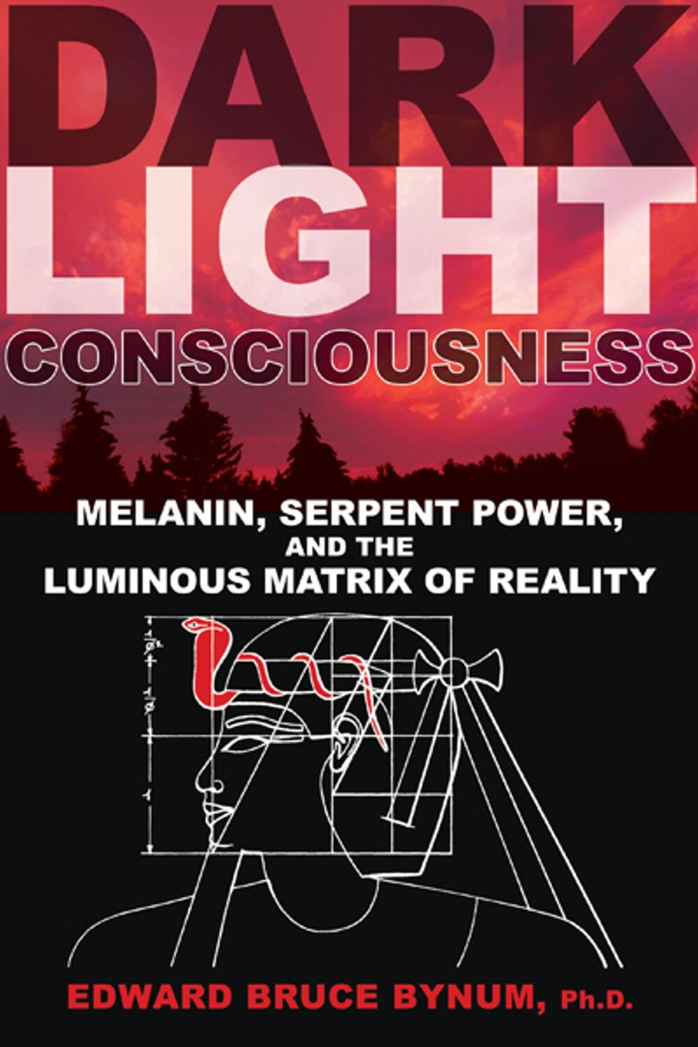 Cover: 9781594774720 | Dark Light Consciousness | Edward Bruce Bynum | Taschenbuch | Englisch