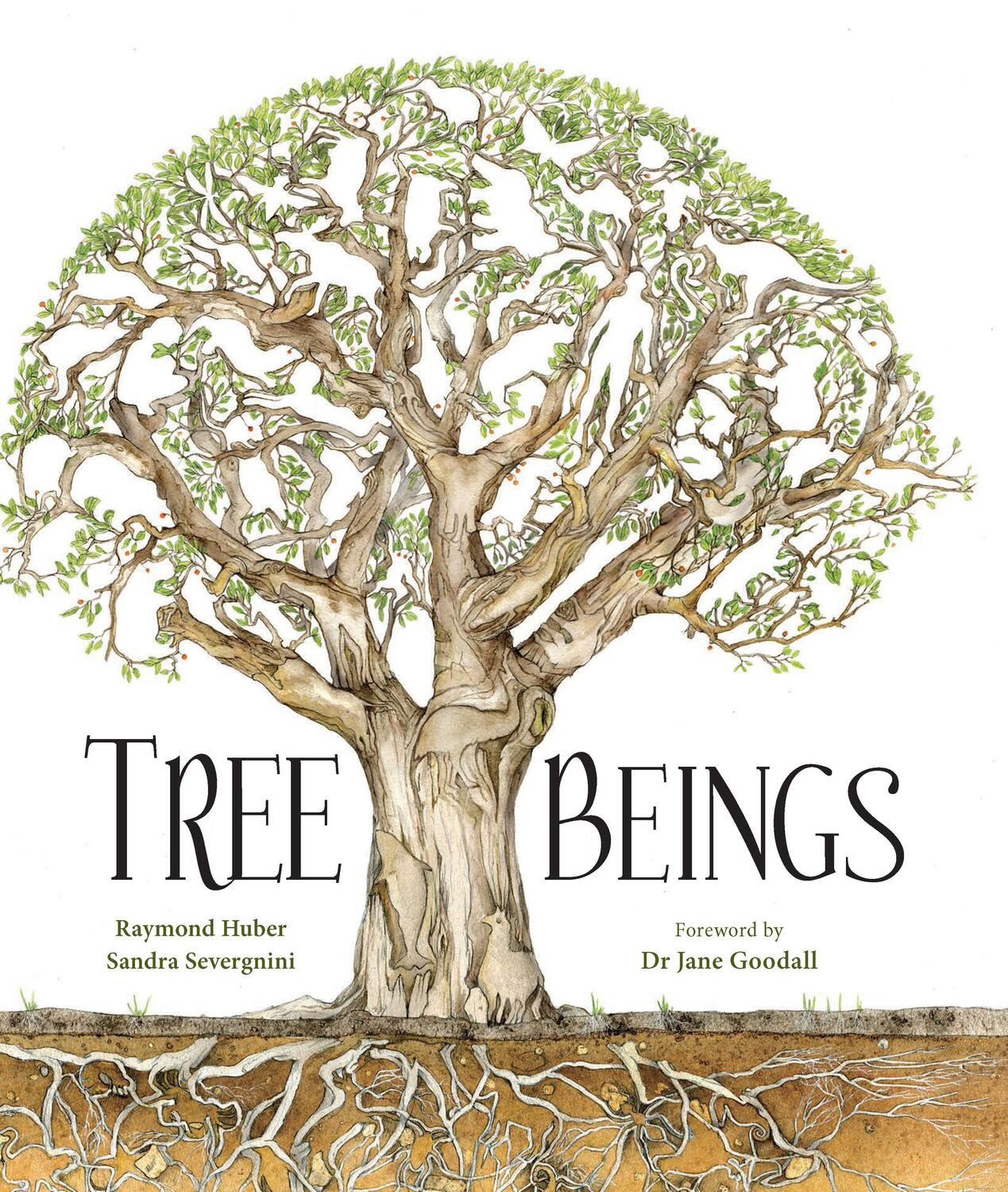 Cover: 9781925820539 | Tree Beings | Raymond Huber | Buch | Englisch | 2020