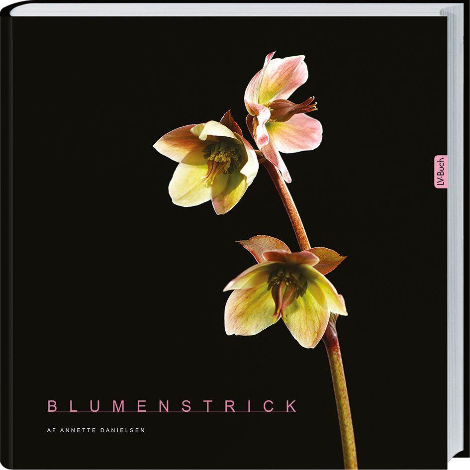 Cover: 9783784354750 | Blumenstrick | Annette Danielsen | Buch | 132 S. | Deutsch | 2017