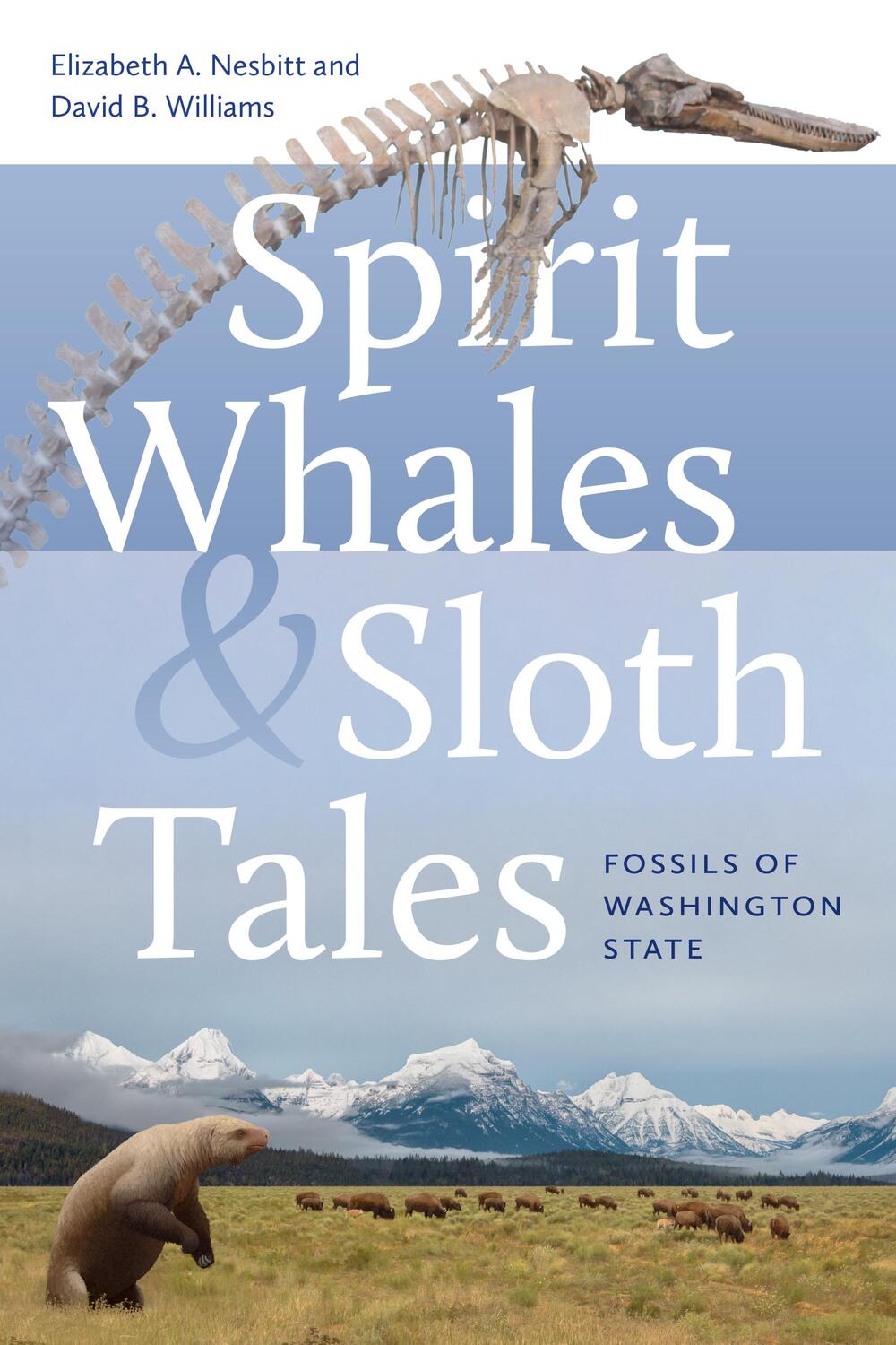 Cover: 9780295752327 | Spirit Whales and Sloth Tales | Fossils of Washington State | Buch