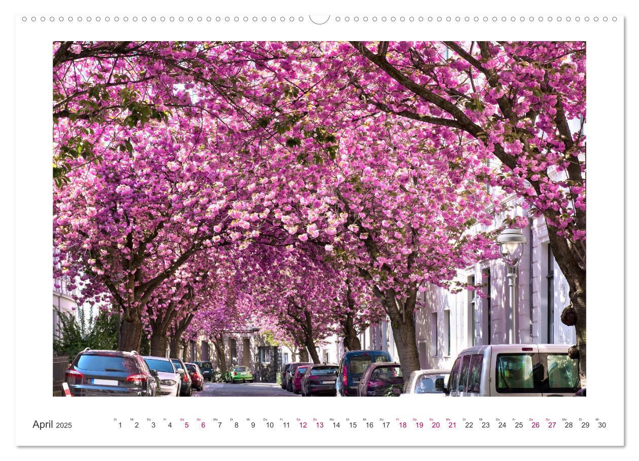 Bild: 9783457127919 | Japanische Kirschblüte in Bonn (Wandkalender 2025 DIN A2 quer),...