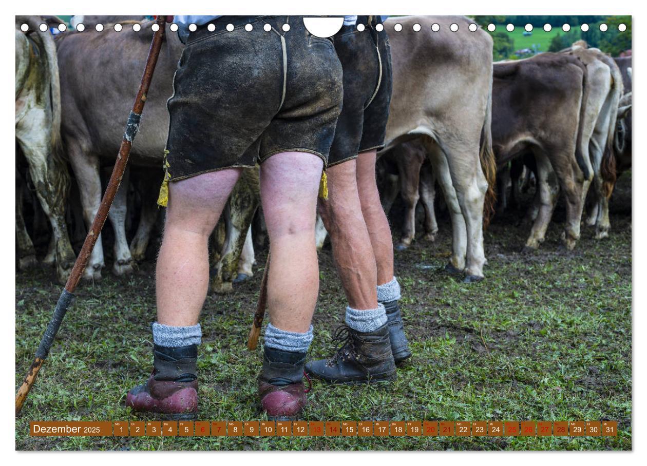 Bild: 9783435347865 | Allgäuer Schönheiten Allgäu - Land der Kühe (Wandkalender 2025 DIN...