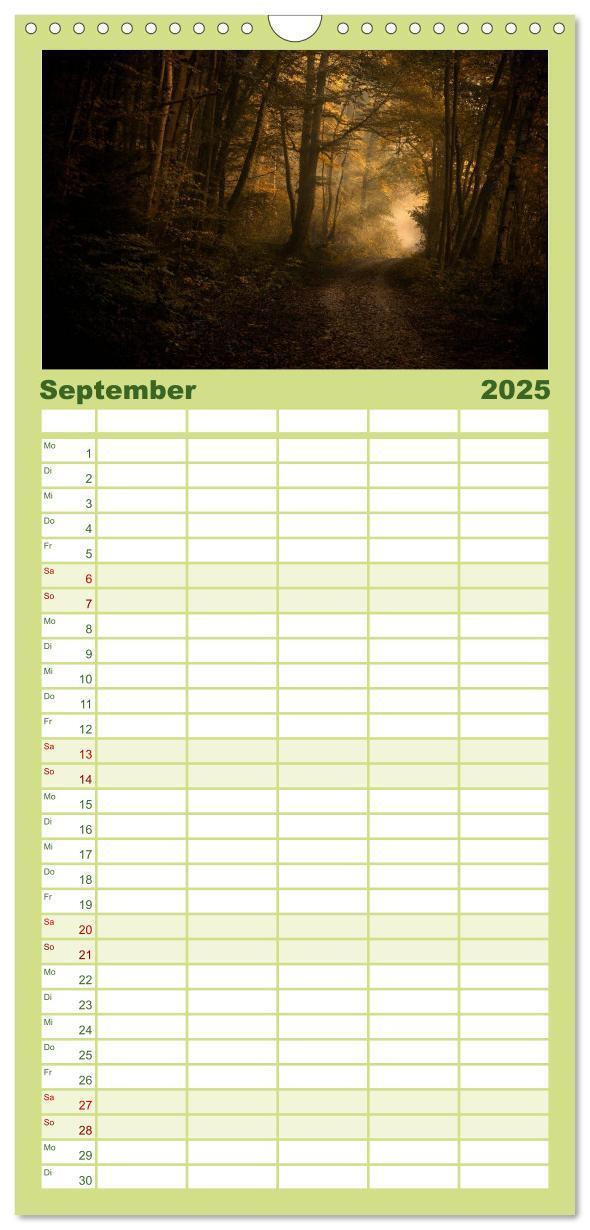 Bild: 9783457117453 | Familienplaner 2025 - Mysterium Wald mit 5 Spalten (Wandkalender,...