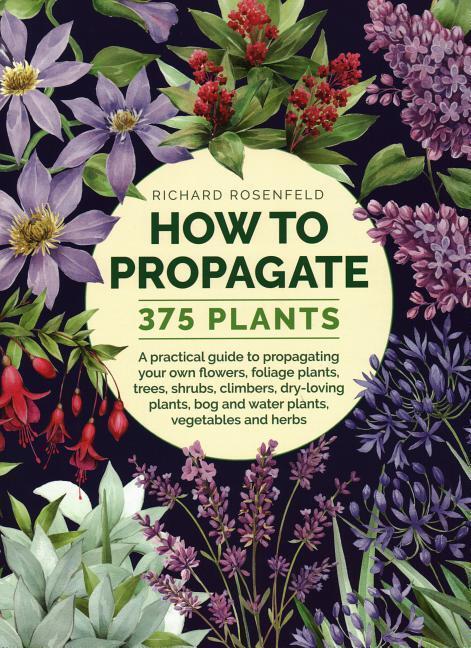 Cover: 9780754834410 | How to Propagate 375 Plants | Richard Rosenfeld | Buch | Gebunden