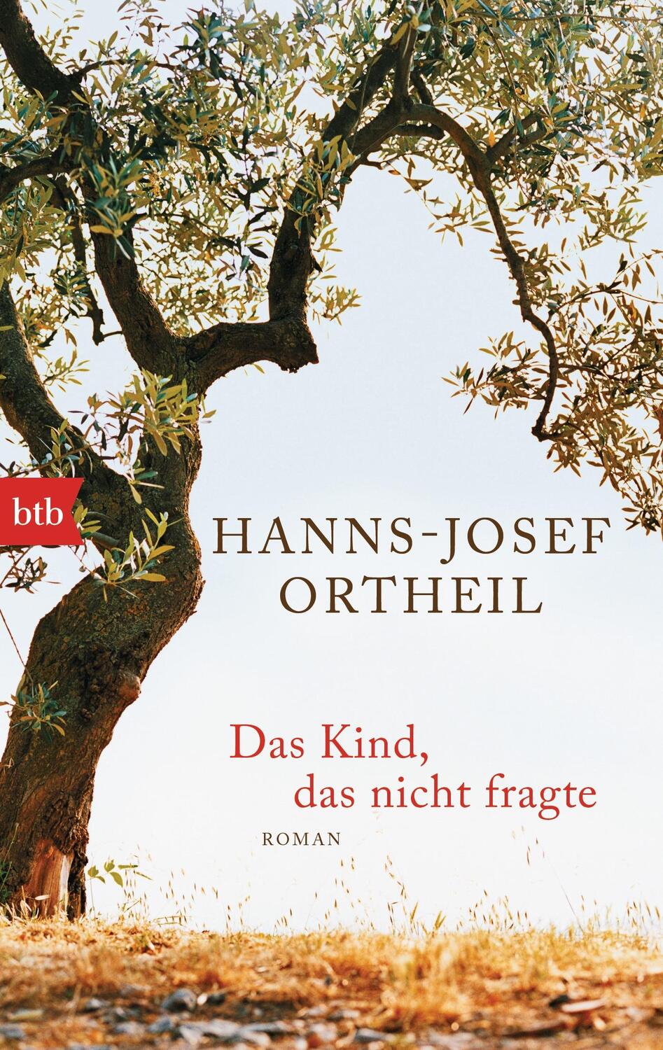 Cover: 9783442739813 | Das Kind, das nicht fragte | Hanns-Josef Ortheil | Taschenbuch | btb