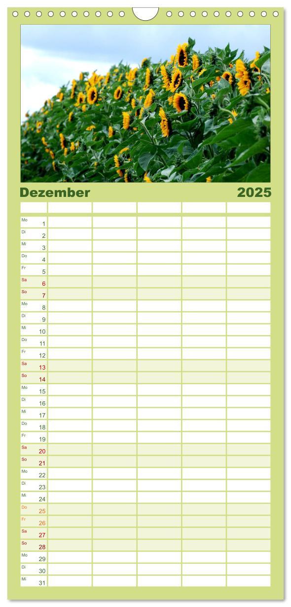 Bild: 9783457110928 | Familienplaner 2025 - Sonnenblumen mit 5 Spalten (Wandkalender, 21...