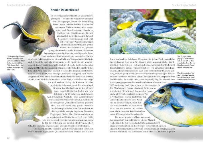 Bild: 9783866590823 | Doktorfische im Meerwasseraquarium | Ellen Thaler | Taschenbuch | 2008