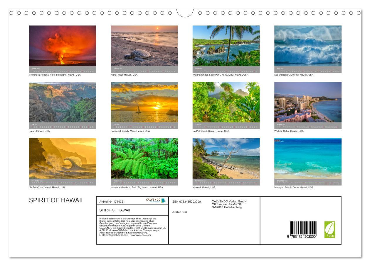 Bild: 9783435203000 | SPIRIT OF HAWAII (Wandkalender 2025 DIN A3 quer), CALVENDO...