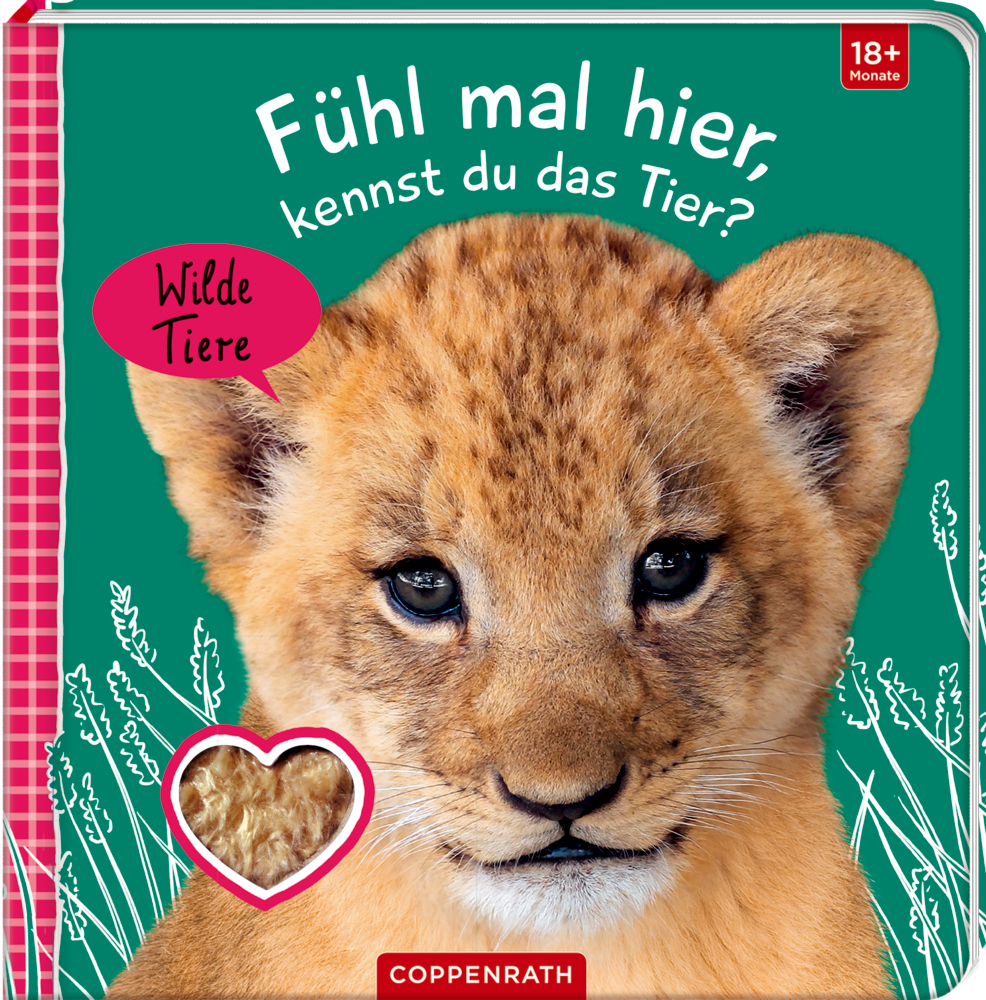 Cover: 9783649640493 | Fühl mal hier, kennst du das Tier? Wilde Tiere | Buch | 10 S. | 2022