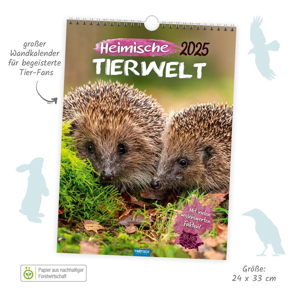 Bild: 9783988021984 | Trötsch Classickalender Heimische Tierwelt 2025 | Wandkalender | KG