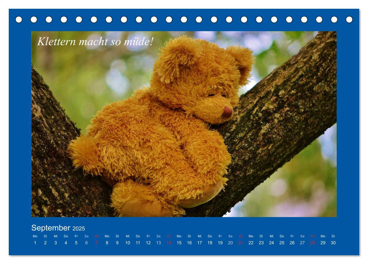 Bild: 9783435593972 | Sommer im Teddy-Land. Bär und Freunde (Tischkalender 2025 DIN A5...