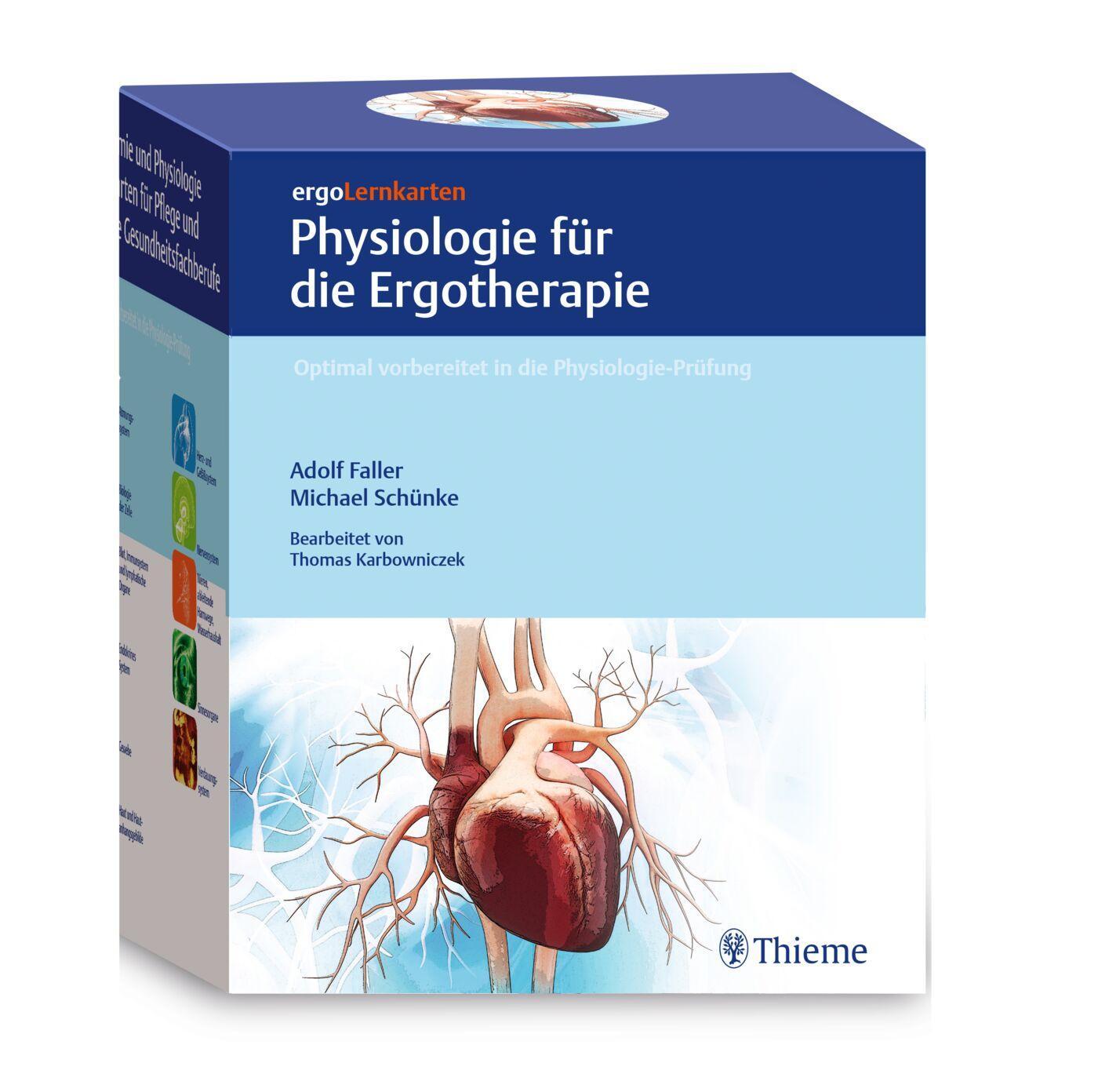 Cover: 9783132455900 | ergoLernkarten - Physiologie für die Ergotherapie | Michael Schünke