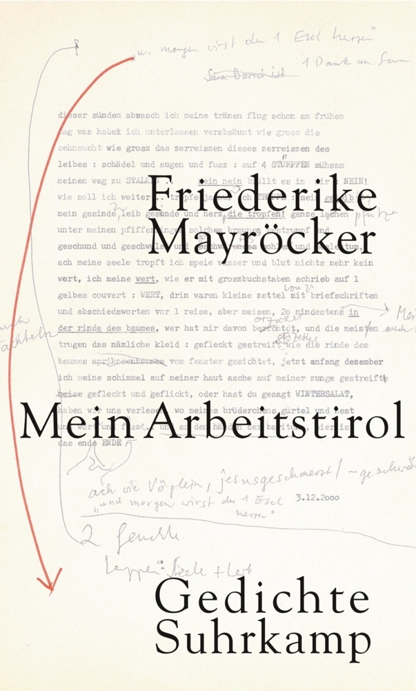 Cover: 9783518413937 | Mein Arbeitstirol | Gedichte 1996-2001 | Friederike Mayröcker | Buch