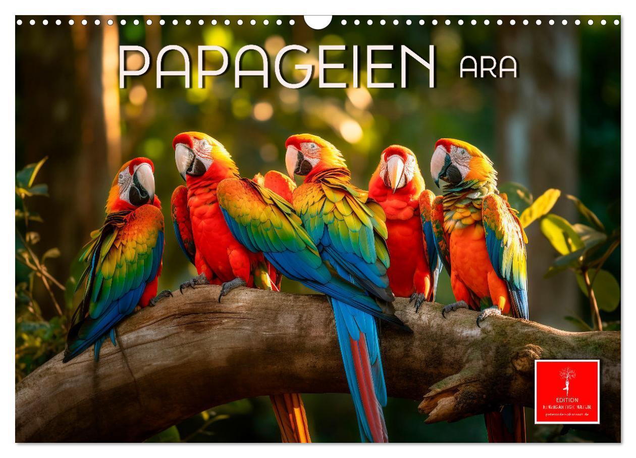 Cover: 9783675707917 | Papageien - Ara (Wandkalender 2024 DIN A3 quer), CALVENDO...