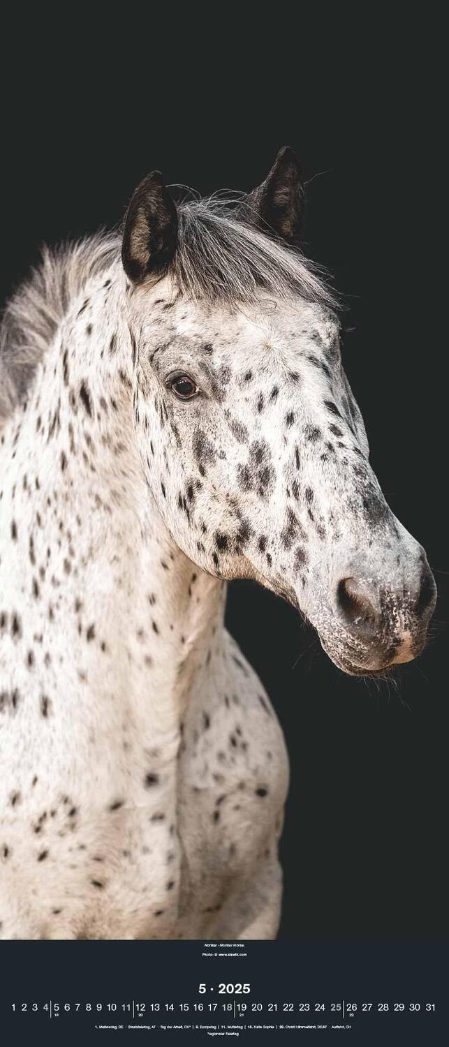 Bild: 4002725994202 | Beautiful Horses 2025 - Foto-Kalender - Wand-Kalender - 30x70 | 28 S.