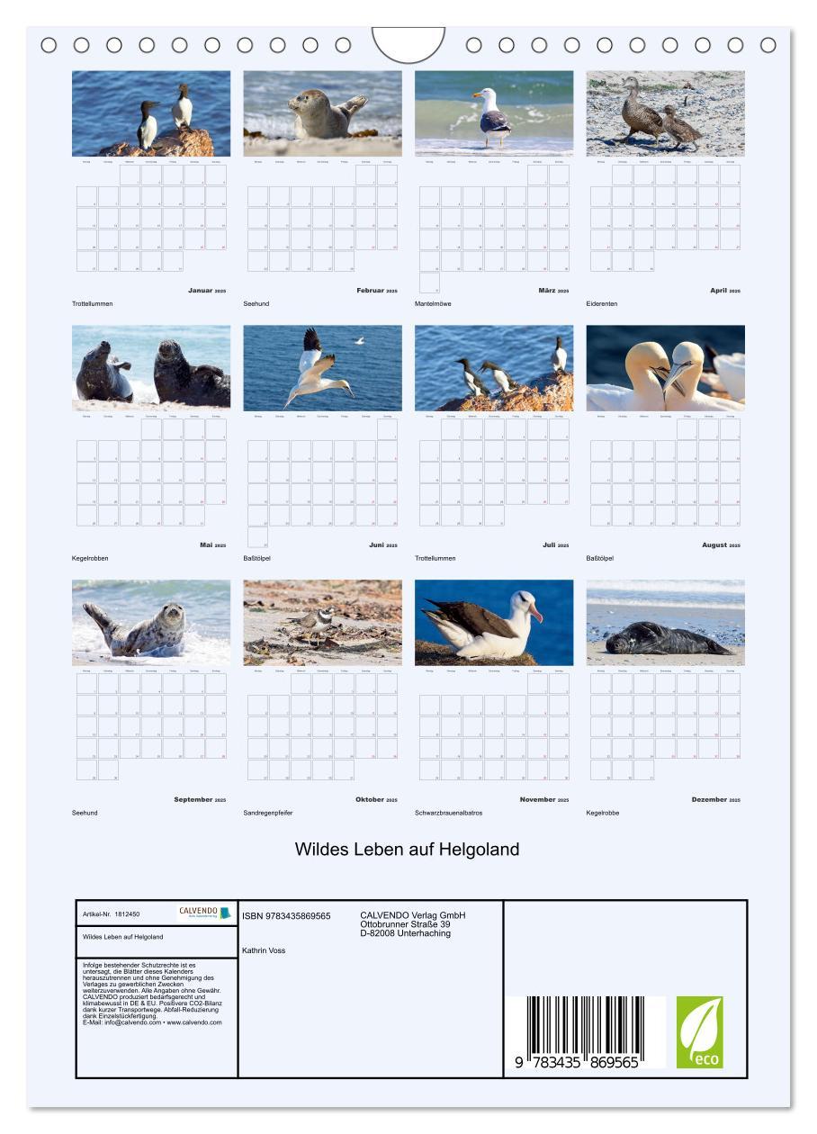 Bild: 9783435869565 | Wildes Leben auf Helgoland (Wandkalender 2025 DIN A4 hoch),...