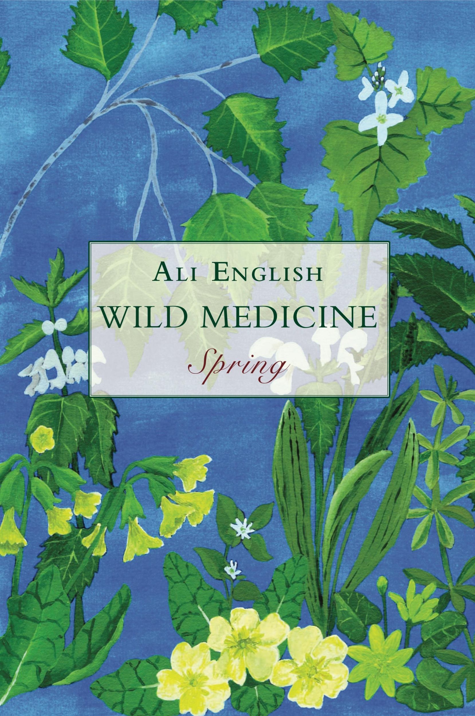 Cover: 9781911597698 | Wild Medicine, Spring | Spring | Ali English | Taschenbuch | Englisch