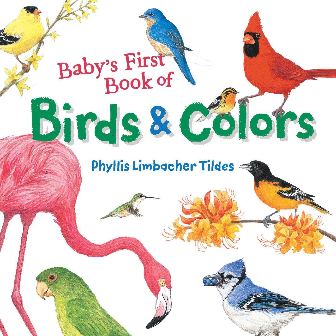 Cover: 9781580897426 | Baby's First Book of Birds &amp; Colors | Phyllis Limbacher Tildes | Buch