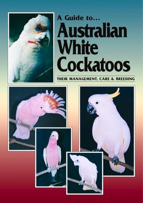Cover: 9780957702417 | A Guide to Australian White Cockatoos: Their Management, Care &amp;...