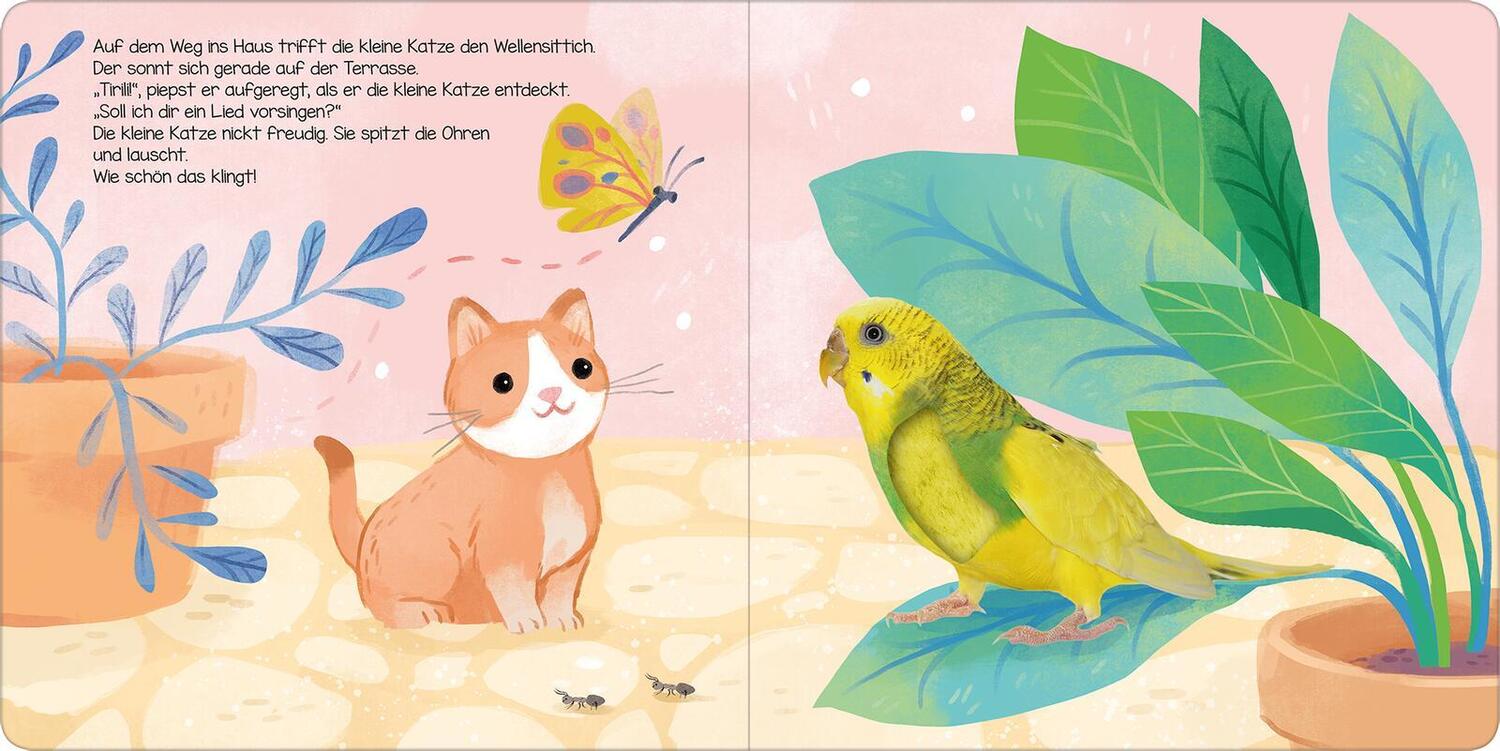 Bild: 9783845846651 | Hör mal, kleine Katze! | Streicheln und hören | Buch | 12 S. | Deutsch