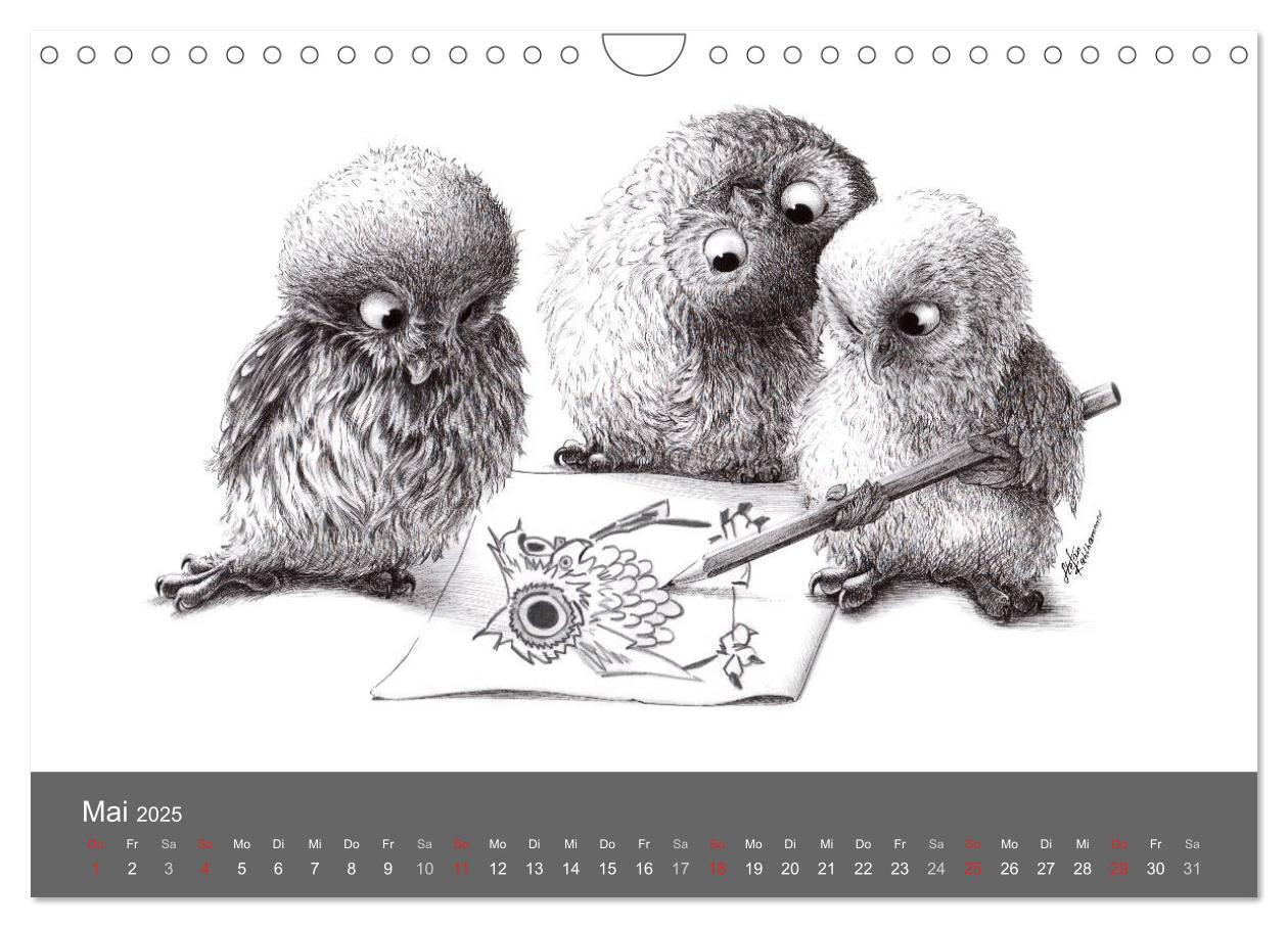 Bild: 9783435825158 | owls &amp; friends 2025 (Wandkalender 2025 DIN A4 quer), CALVENDO...