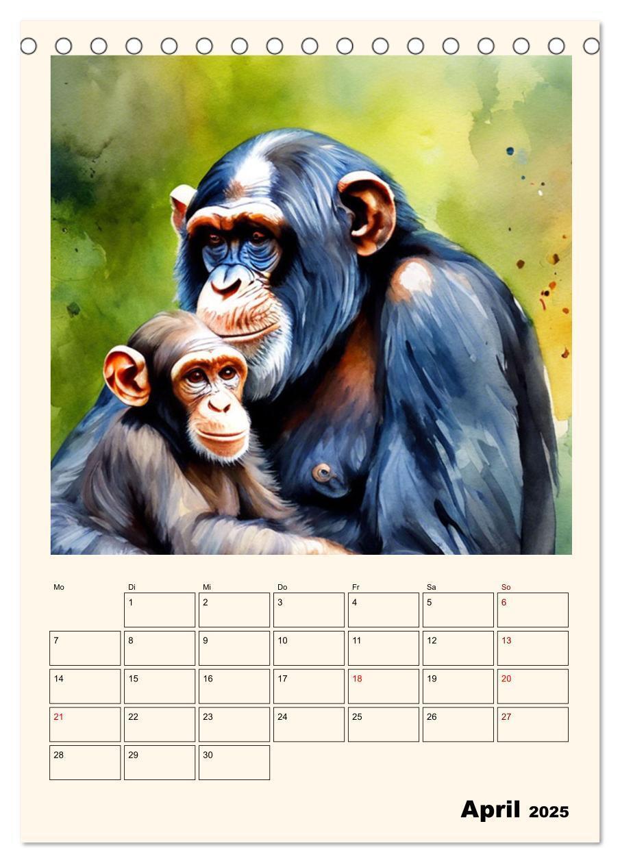 Bild: 9783383820274 | Schimpansen &amp; Gorillas (Tischkalender 2025 DIN A5 hoch), CALVENDO...