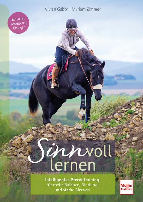 Cover: 9783275023387 | SINNvoll lernen | Vivian Gabor (u. a.) | Taschenbuch | 160 S. | 2025