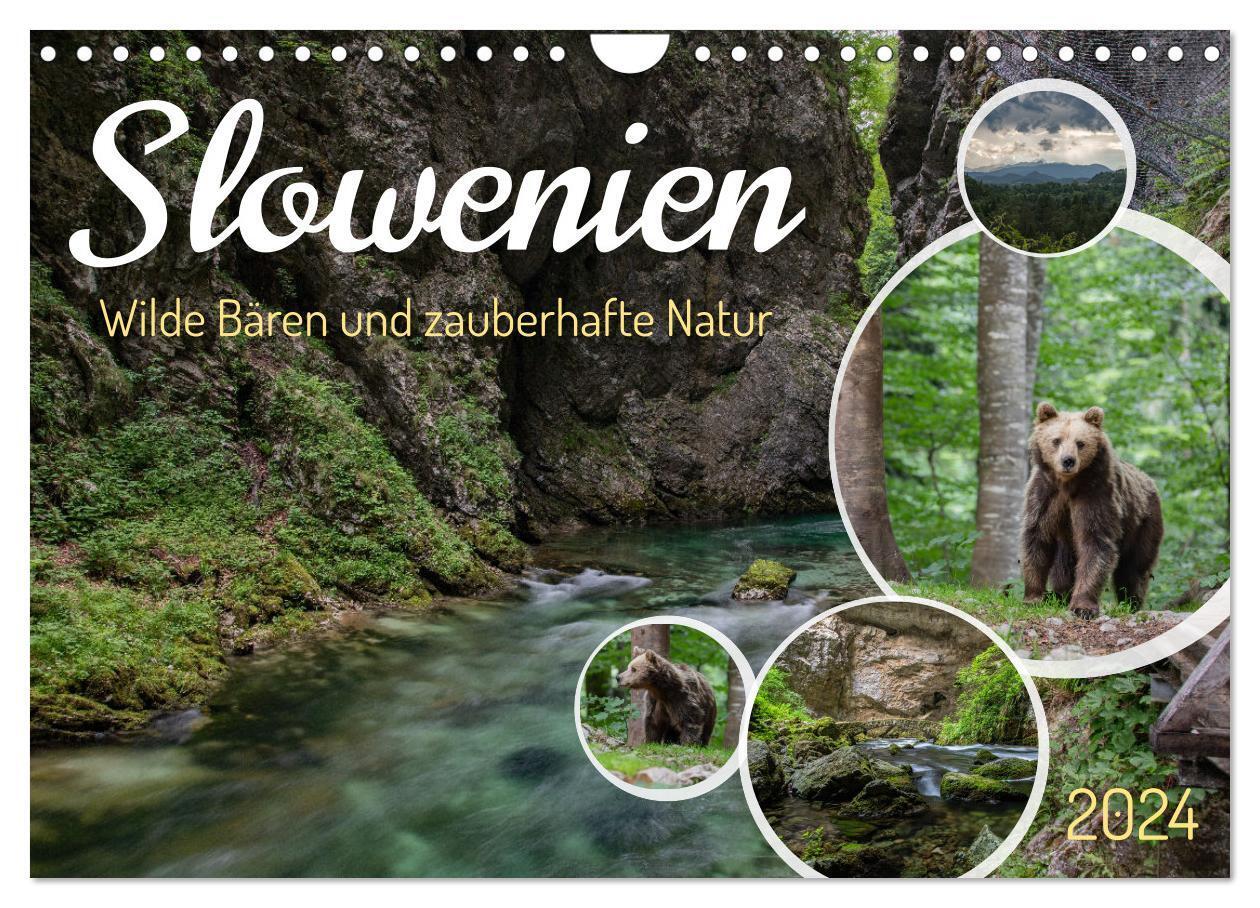 Cover: 9783383708046 | Slowenien - Wilde Bären und zauberhafte Natur (Wandkalender 2024...