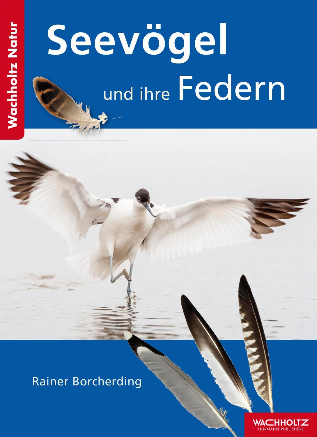 Cover: 9783529054471 | Seevögel und ihre Federn | Rainer Borcherding | Taschenbuch | Deutsch