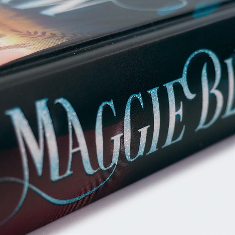 Bild: 9783446282568 | Maggie Blue - Das Portal zur Düsterwelt | Anna Goodall | Buch | 312 S.