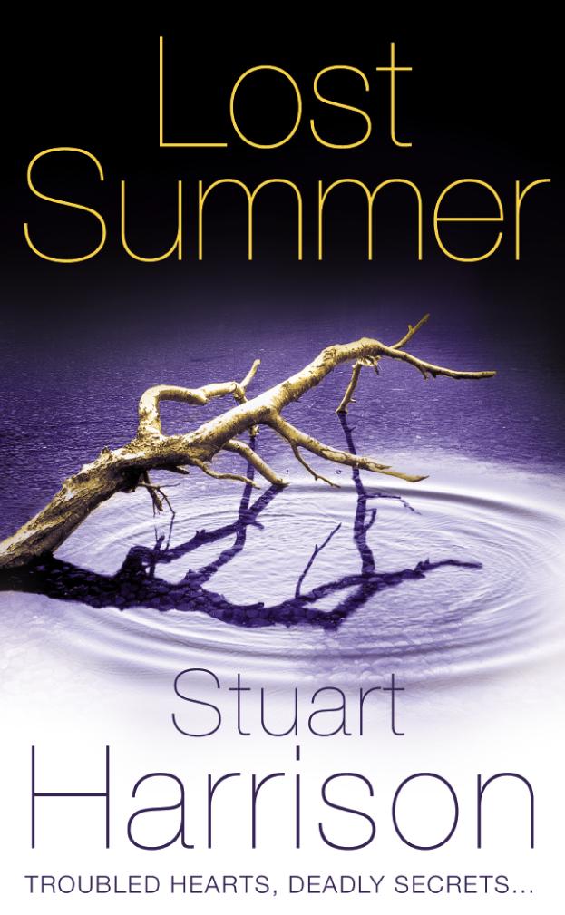 Cover: 9780007139361 | Lost Summer | Stuart Harrison | Taschenbuch | Englisch | 2003