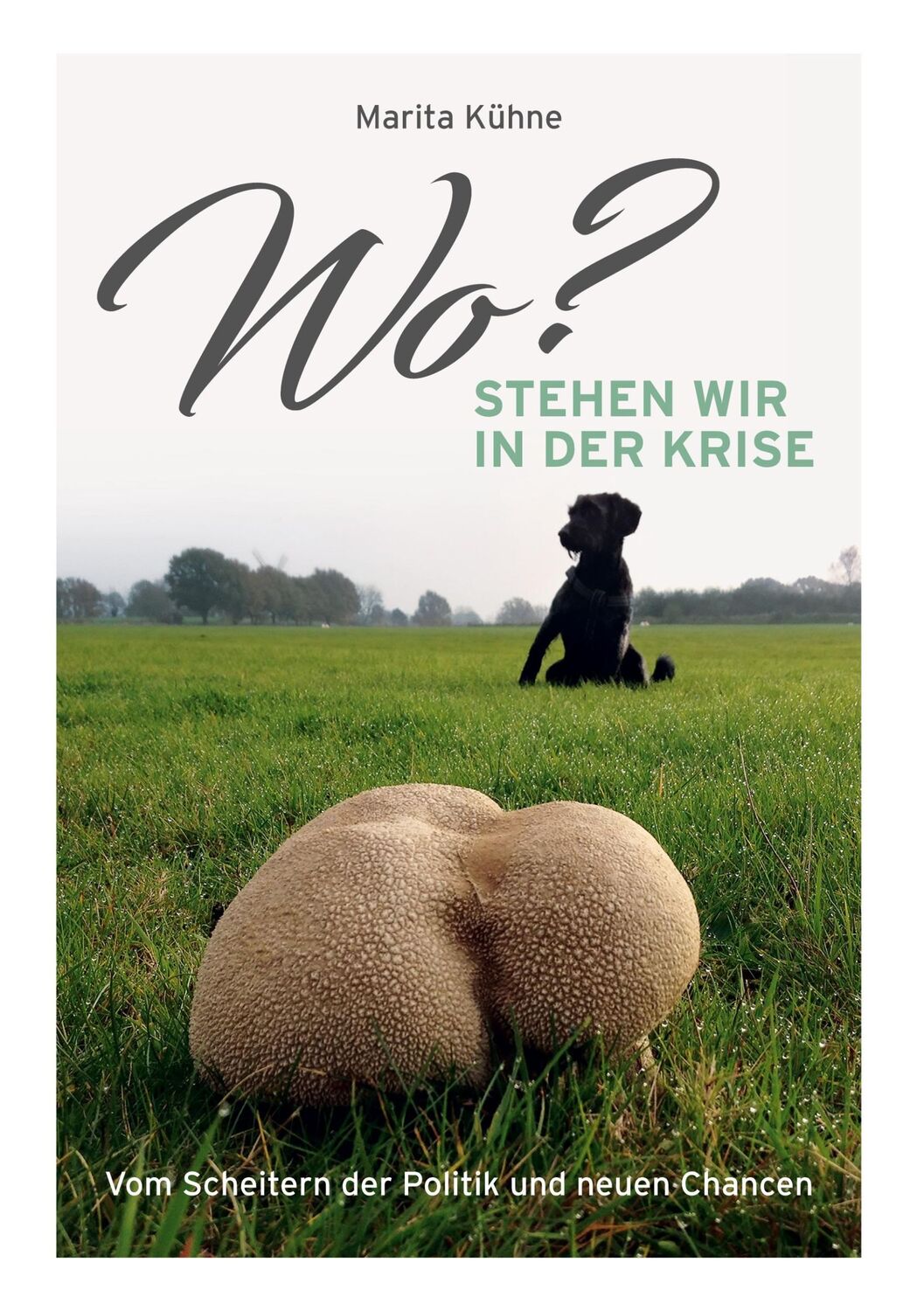 Cover: 9783753417103 | Wo? stehen wir in der Krise | Marita Kühne | Buch | 122 S. | Deutsch