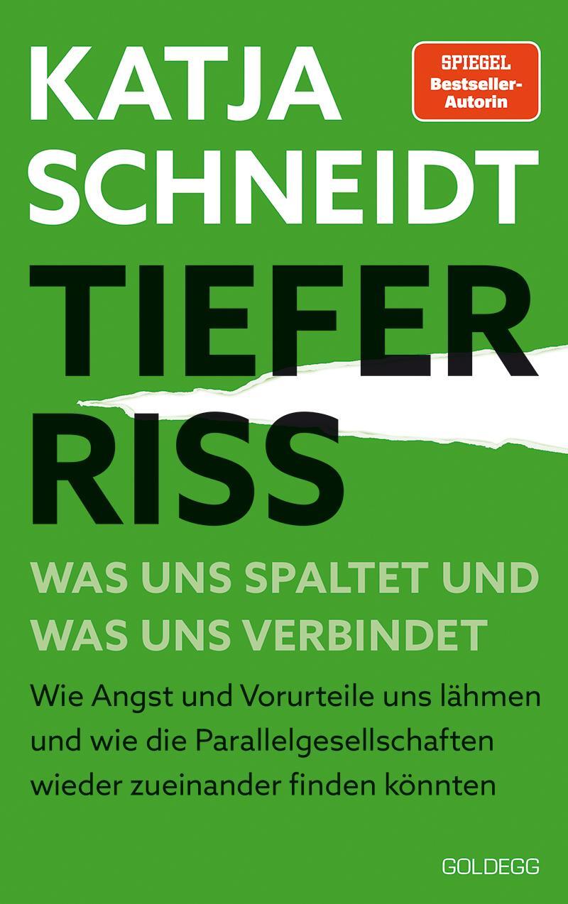Cover: 9783990602034 | Tiefer Riss - Was uns spaltet und was uns verbindet | Katja Schneidt
