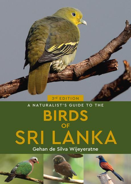 Cover: 9781913679002 | A Naturalist's Guide to the Birds of Sri Lanka | Wijeyeratne | Buch