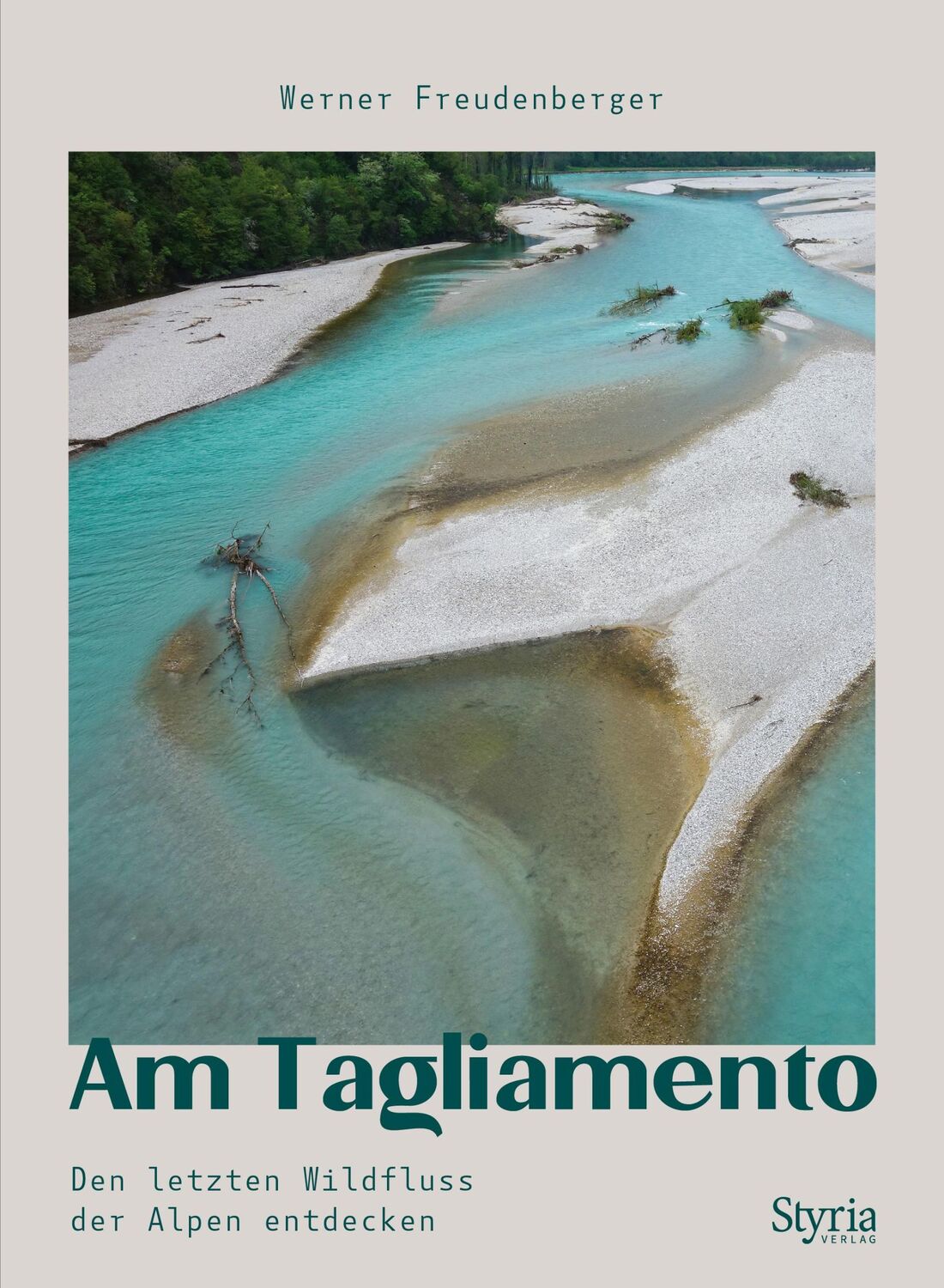 Cover: 9783222137259 | Am Tagliamento | Den letzten Wildfluss der Alpen entdecken | Buch