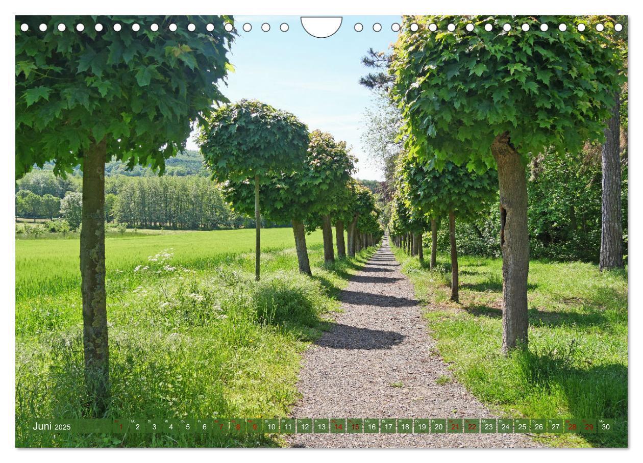 Bild: 9783435048021 | Bad Nenndorf, Kurpark-Impressionen (Wandkalender 2025 DIN A4 quer),...