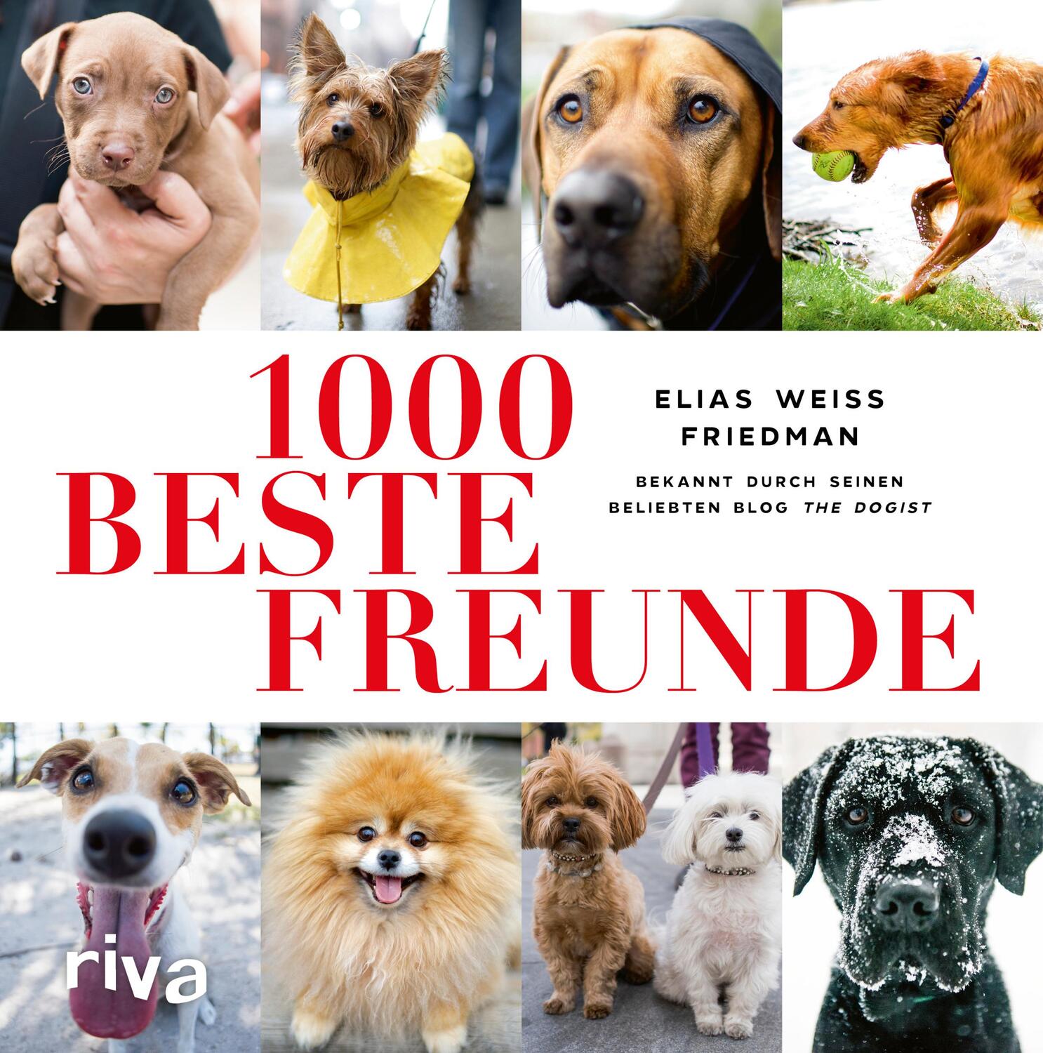 Cover: 9783742311573 | 1000 beste Freunde | Elias Weiss Friedman | Buch | 304 S. | Deutsch