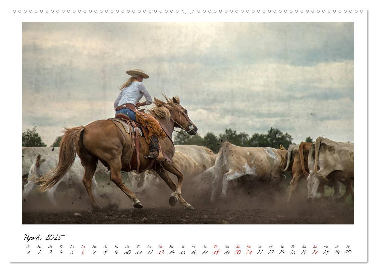 Bild: 9783435442676 | Mecklenburgs Wilder Westen (hochwertiger Premium Wandkalender 2025...