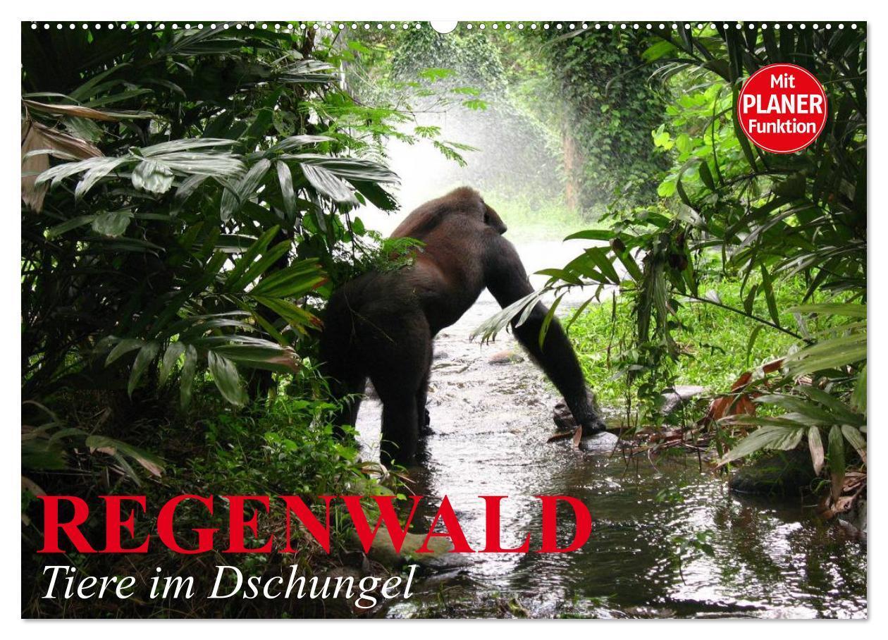 Cover: 9783383309793 | Regenwald. Tiere im Dschungel (Wandkalender 2024 DIN A2 quer),...