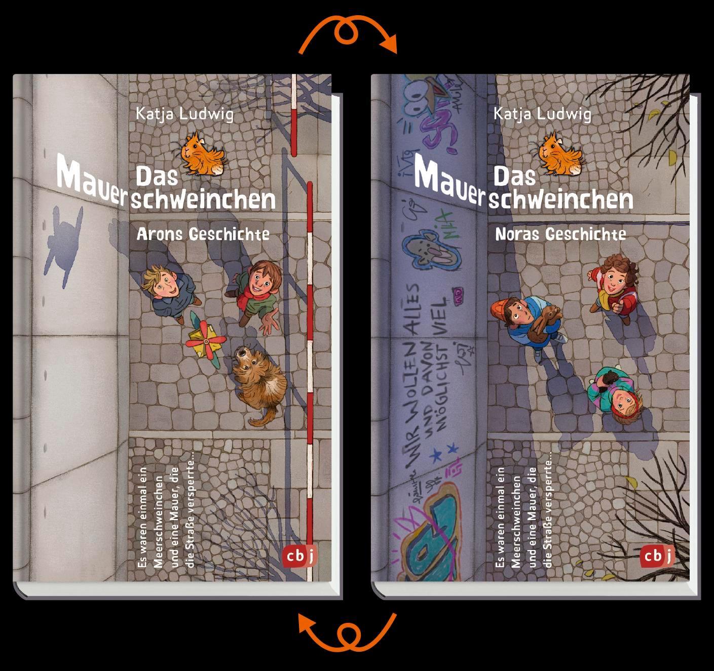 Bild: 9783570313916 | Das Mauerschweinchen | Ein Wendebuch | Katja Ludwig | Taschenbuch
