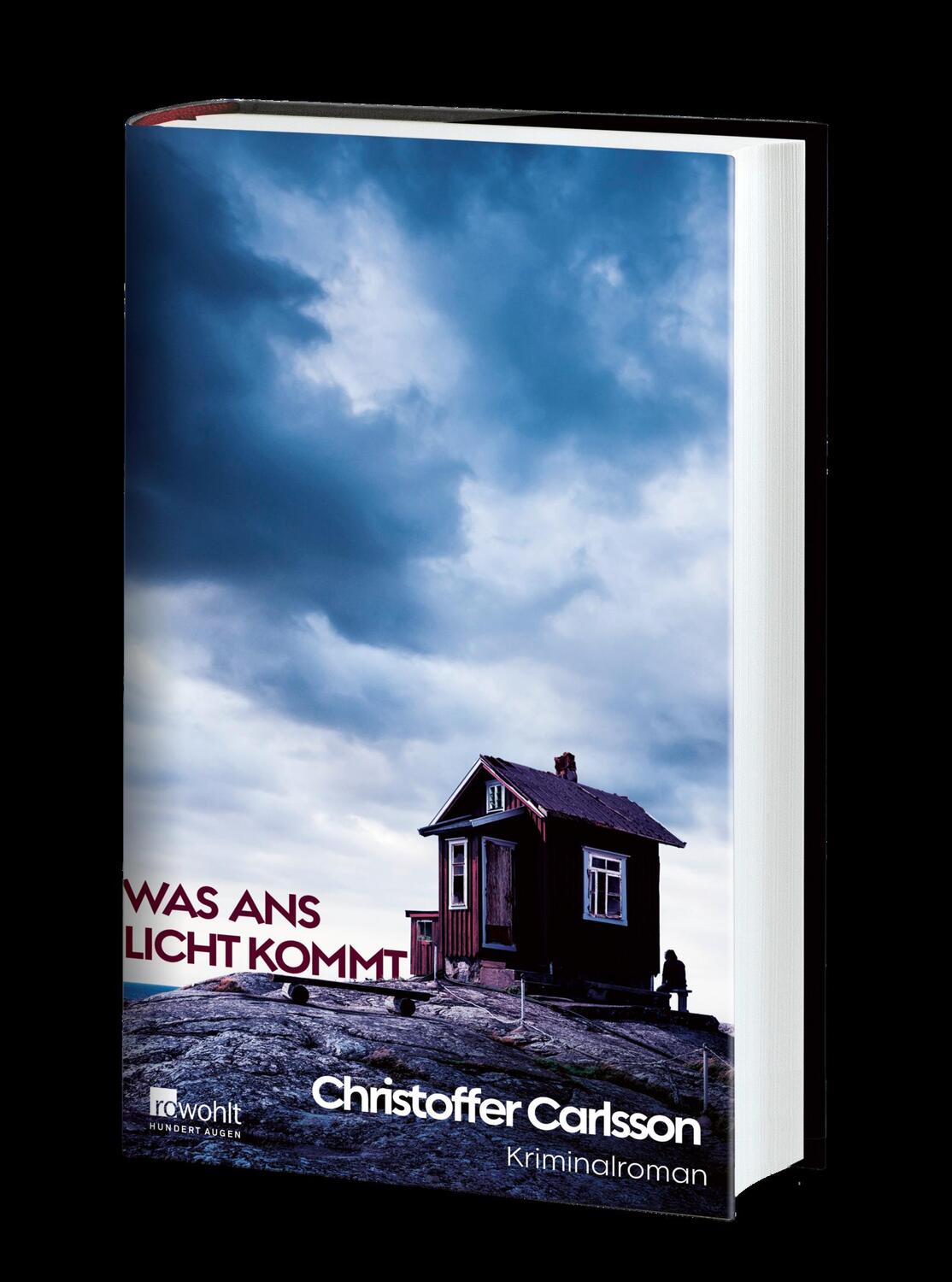Bild: 9783498001728 | Was ans Licht kommt | Kriminalroman | Christoffer Carlsson | Buch
