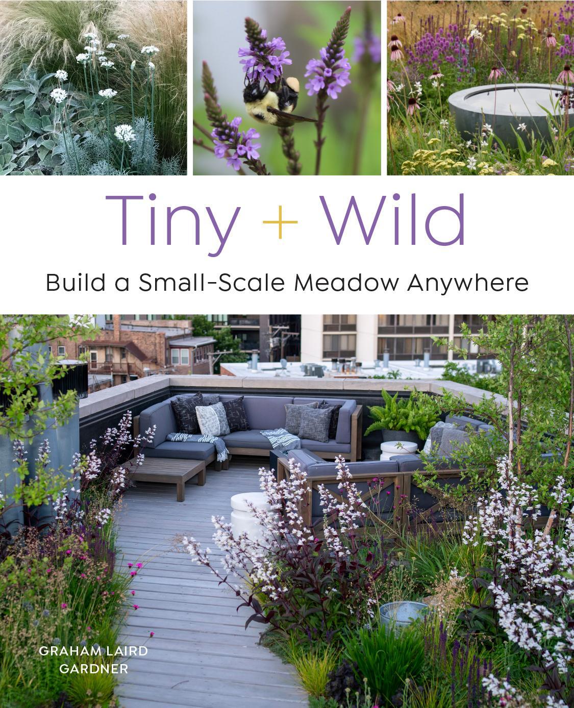 Cover: 9780760376232 | Tiny and Wild | Build a Small-Scale Meadow Anywhere | Gardner | Buch