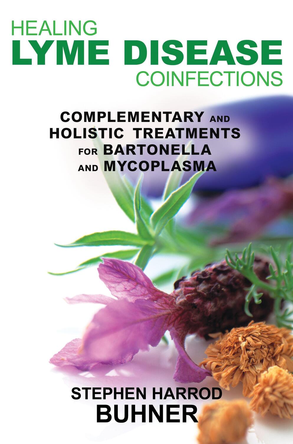Cover: 9781620550083 | Healing Lyme Disease Coinfections | Stephen Harrod Buhner | Buch