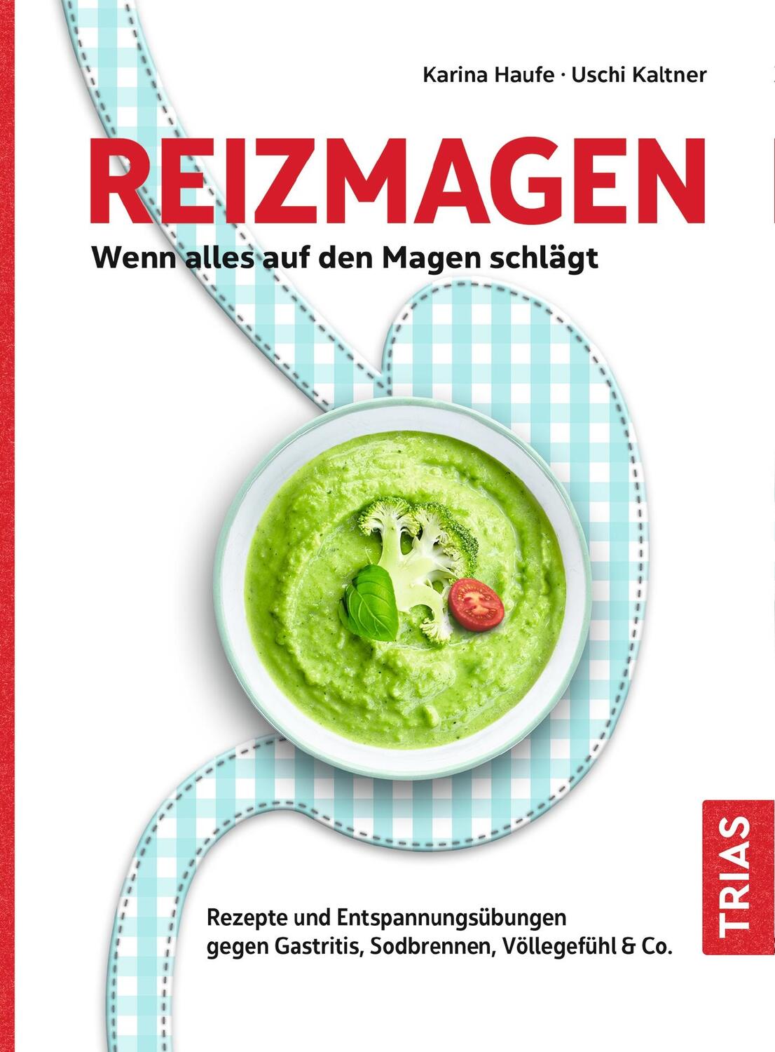 Cover: 9783432113517 | Reizmagen. Wenn alles auf den Magen schlägt | Karina Haufe (u. a.)