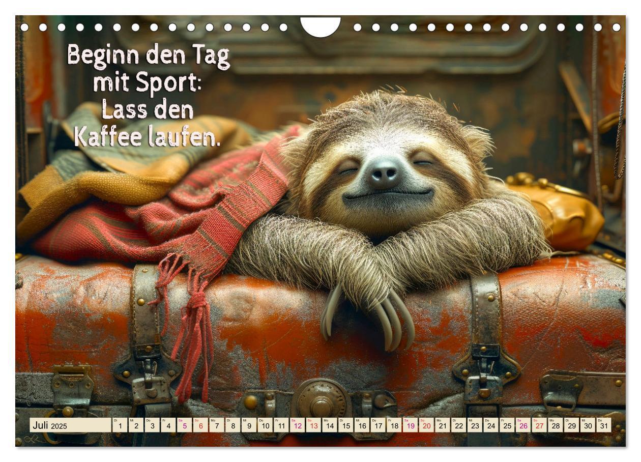 Bild: 9783383771620 | Faultier - Albtraum Sport (Wandkalender 2025 DIN A4 quer), CALVENDO...