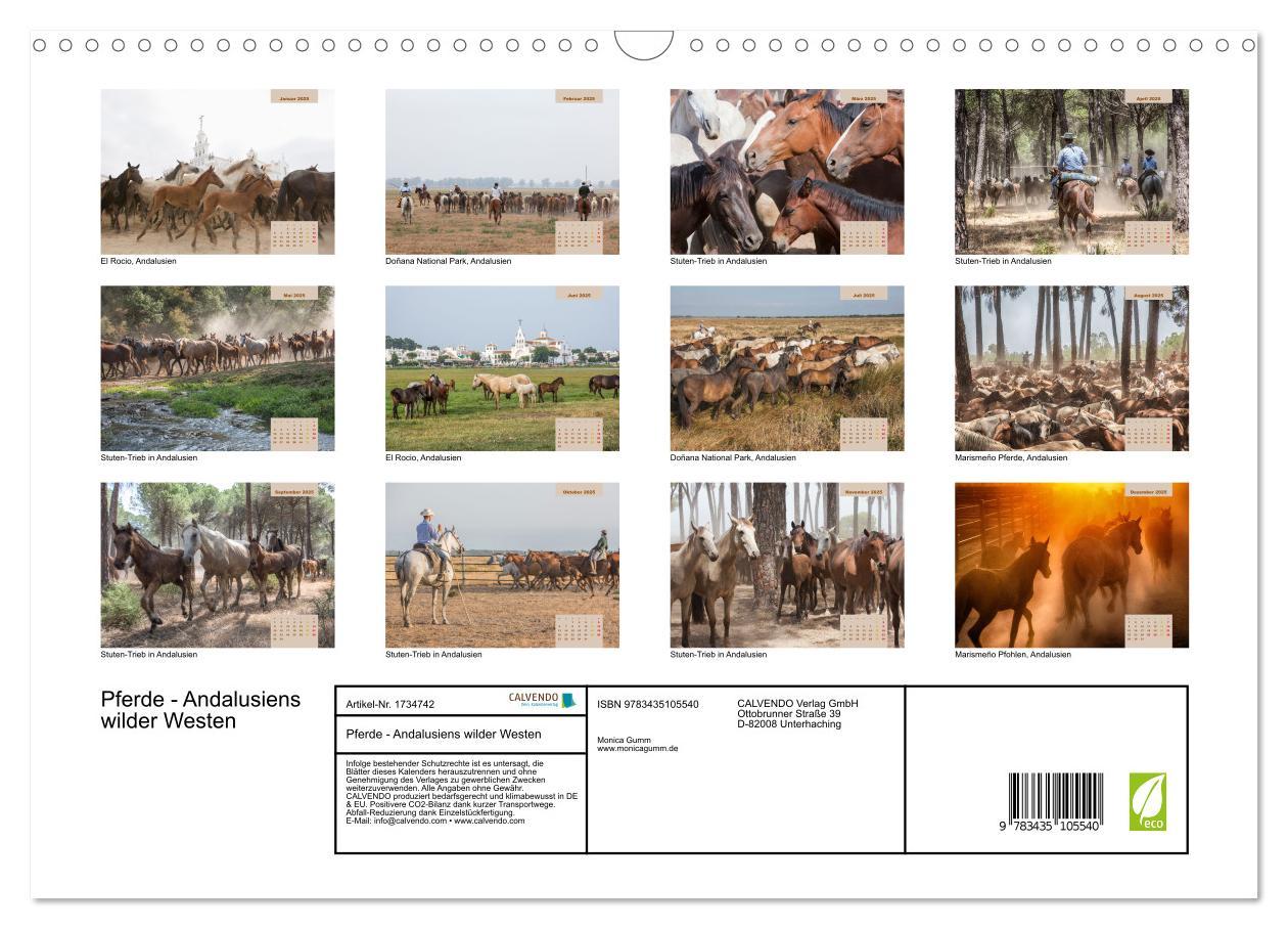 Bild: 9783435105540 | Pferde - Andalusiens wilder Westen (Wandkalender 2025 DIN A3 quer),...