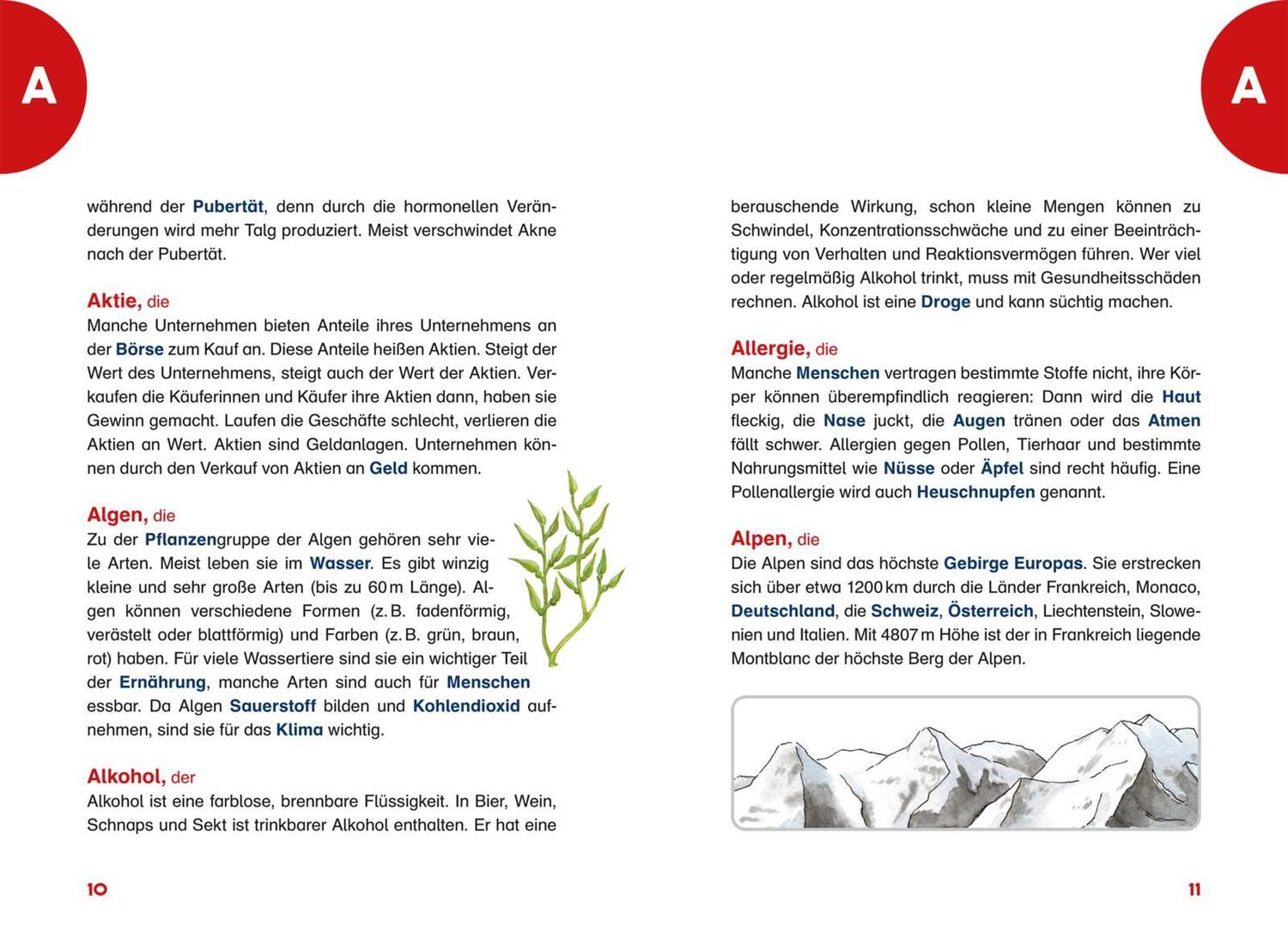 Bild: 9783551255228 | Das Grundschullexikon | Cordula Thörner | Taschenbuch | 352 S. | 2024